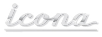 DeLonghi Icona Eco 310
