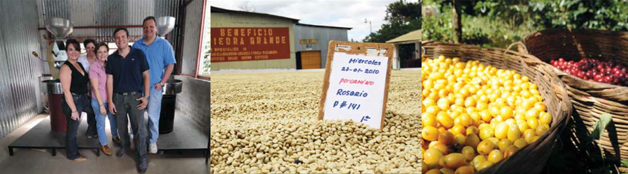 Johan & Nyström El Salvador Finca Las Delicias