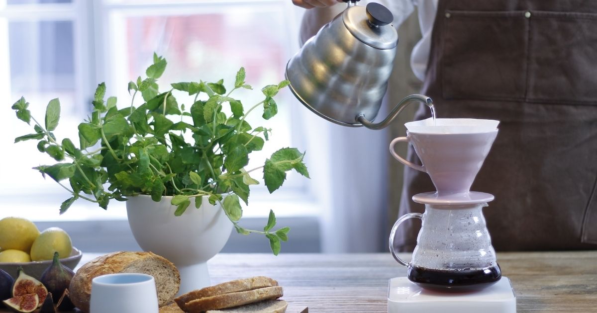 Brygg det perfekta kaffet med Hario V60 -filterhållaren