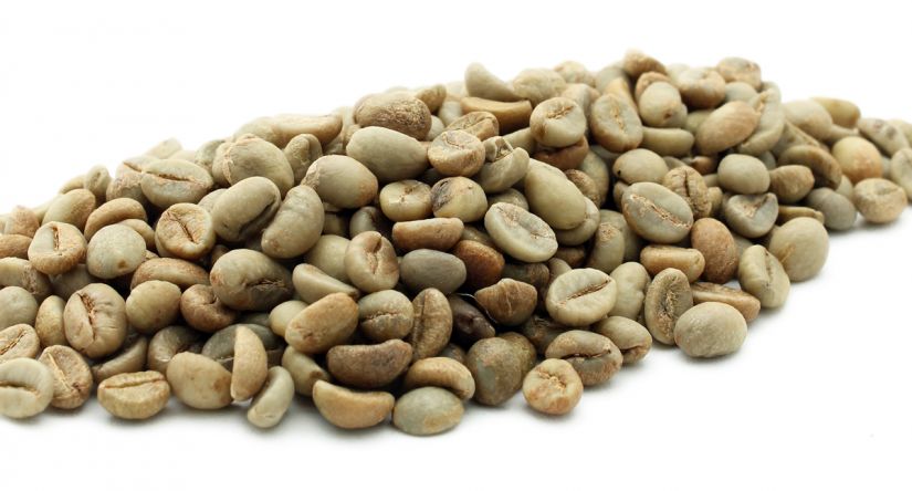 India Robusta Parchment AB - Green coffee beans 1 kg