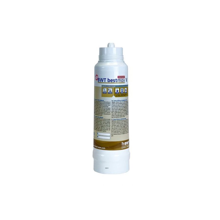 BWT Bestmax Premium V Water Filter