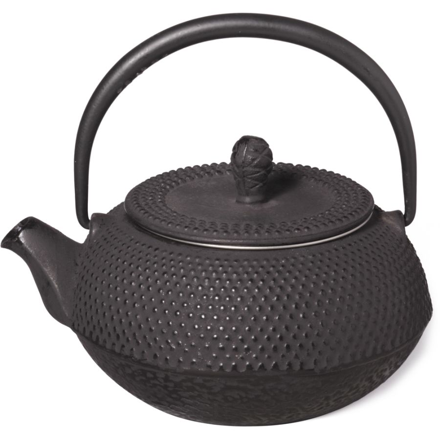 Shamila Sakai Cast Iron Teapot 300 ml