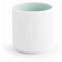 Acme Tajimi Short Tumbler 240 ml, Feijoa Green