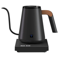 Timemore Fish Pro X Smart vedenkeitin lämpötilansäädöllä 0,9 l