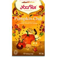 Yogi Tea® Pumpkin Chai 17 teepussia