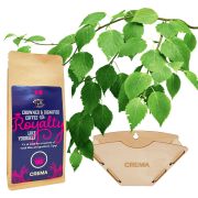 KOLO Design suodatinpussiteline x Crema Royalty Blend 250 g