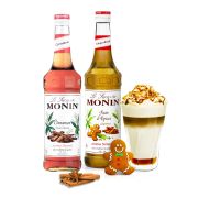 Monin Gingerbread + Monin Cinnamon makusiirapit 700 ml