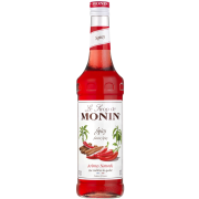 Monin Spicy makusiirappi 700 ml