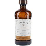 Monin Paragon Cordial Rue Berry -mikseri 48,5 cl